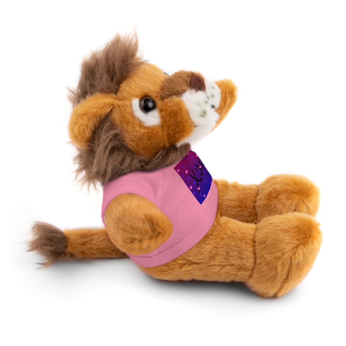 XOXO Stuffed Bear with T-Shirt - Perfect Gift for Valentine's Day & Kids