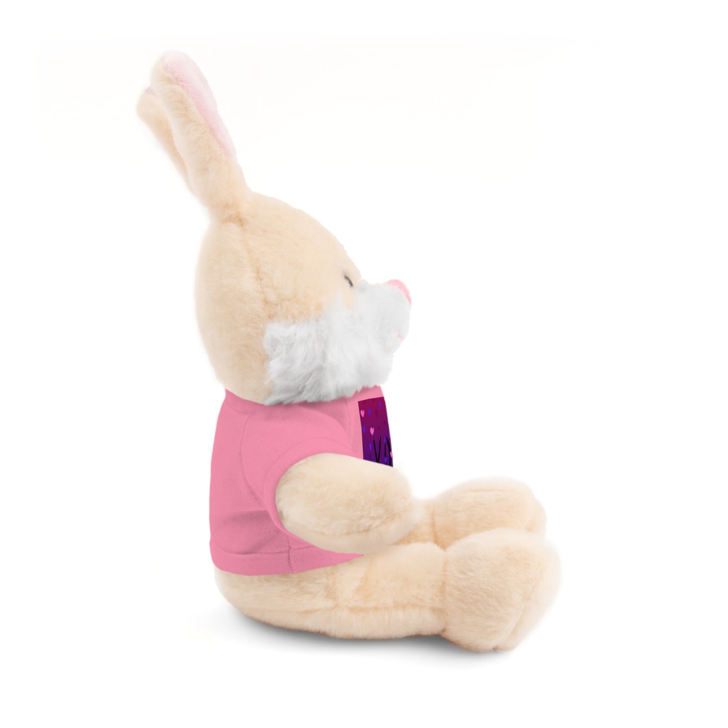 XOXO Stuffed Bear with T-Shirt - Perfect Gift for Valentine's Day & Kids