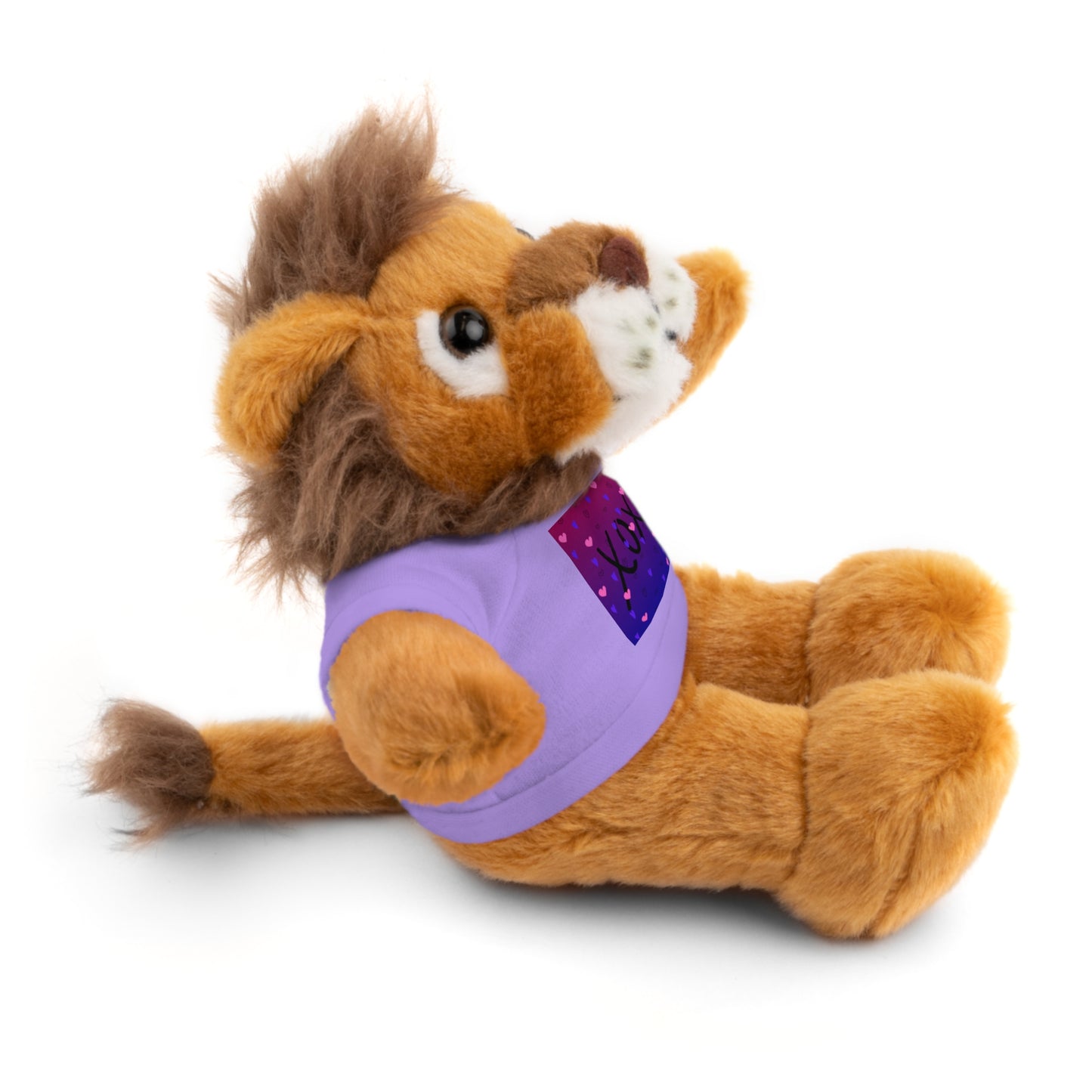 XOXO Stuffed Bear with T-Shirt - Perfect Gift for Valentine's Day & Kids