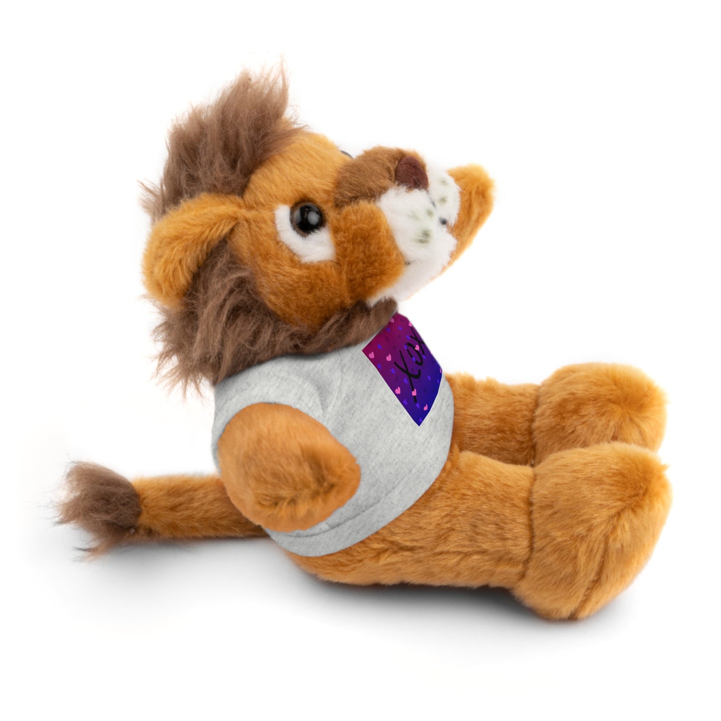 XOXO Stuffed Bear with T-Shirt - Perfect Gift for Valentine's Day & Kids