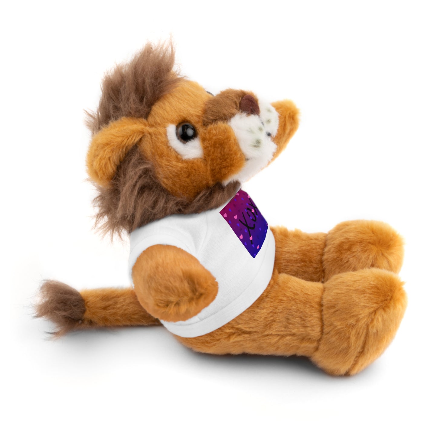 XOXO Stuffed Bear with T-Shirt - Perfect Gift for Valentine's Day & Kids